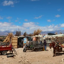 Little delivery trucks